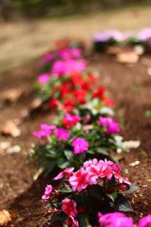 IMG_8989-DESKTOP-4DLKV26