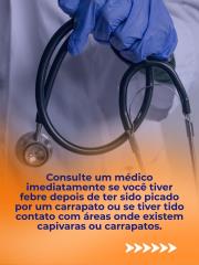 Imagem do WhatsApp de 2025-07-28 à(s) 09.40.24_f95a0c17