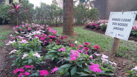 06-10-2025 flores_florida(14)