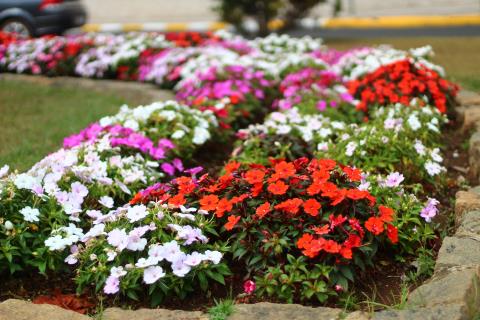 IMG_9006-DESKTOP-4DLKV26