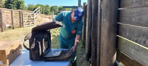 19-05-2023 Programa + pecuária(8)