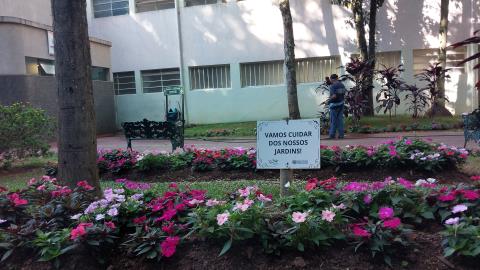 06-10-2025 flores_florida(15)