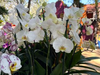 IMG-20250912-WA0390