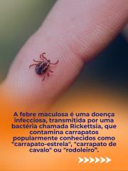 Imagem do WhatsApp de 2025-07-28 à(s) 09.40.23_e53d5135