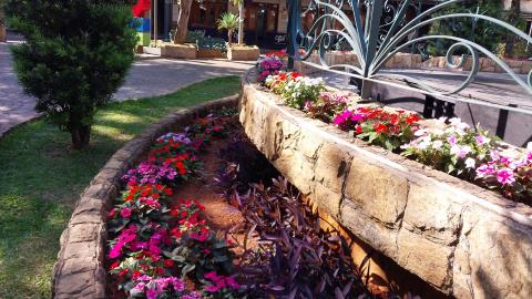 06-10-2025 flores_florida(18)