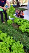 IMG-20250516-WA0020