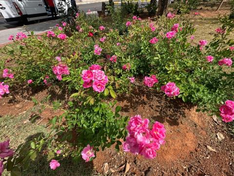 IMG-20250921-WA0134-DESKTOP-4DLKV26