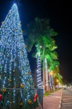 27-11-2024 Natal Luzes da Serra_decoração-Avenida Governador Laudo Natel(12)