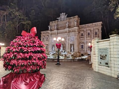 23-11-2025 Fontana Di Trevi(2)