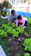 IMG-20250516-WA0022
