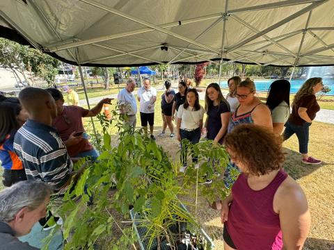 IMG-20250921-WA0283-DESKTOP-4DLKV26