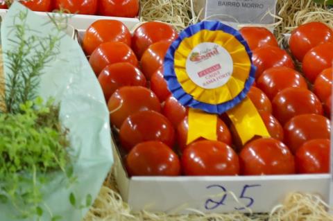 Secretaria de Agricultura divulga vencedores do concurso de frutas da 21ª Festa do Caqui & Cia