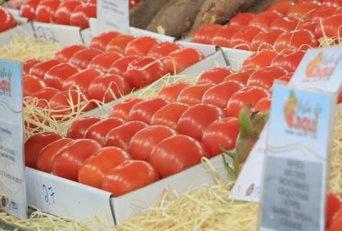 Prefeitura divulga datas da Festa do Caqui e Cia. 2026