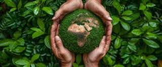 0506_Dia-Mundial-do-Meio-Ambiente_banner