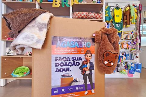 Campanha do Agasalho para pets reforça doações a cães e gatos no inverno