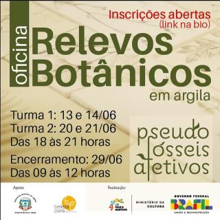 Oficina de Relevos Botânicos