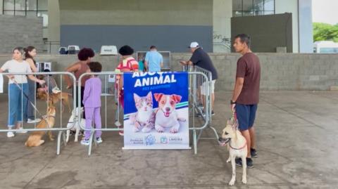 Parque Cidade recebe feira de adoção de cães e gatos neste sábado (16)