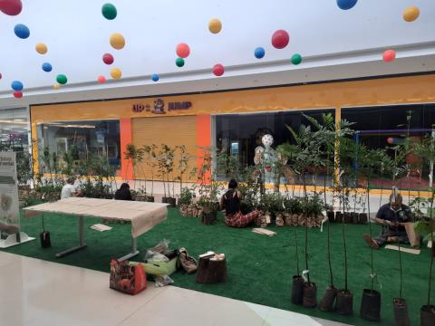 Prefeitura distribui mudas de árvores nativas no Limeira Shopping