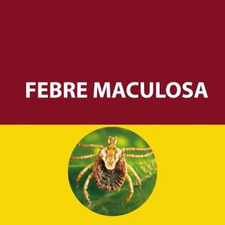 FEBRE