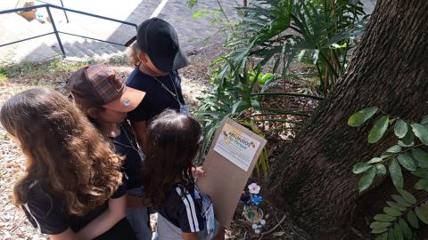 Alunos com altas habilidades participam de oficina sobre abelhas e sustentabilidade