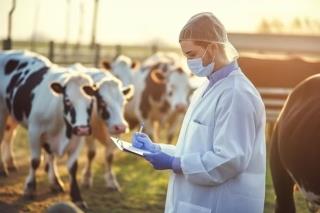 grupo-de-ai-generativo-de-medicos-veterinarios-verificando-o-estado-de-saude-do-gado-na-fazenda-de-v