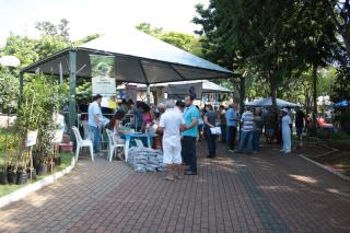 Adilson Silveira (3)