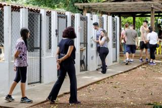 Centro de Adoção Permanente Cão Gabriel, no Parque Infantil, recebe a Campanha de adoção e microchipagem de animais - Foto Vitor Falavinha