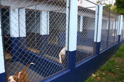 WhatsApp Image 2026-01-08 at 09.32.08