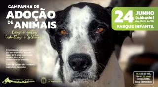 Campanha de Adoção de Animais acontece neste sábado (2)
