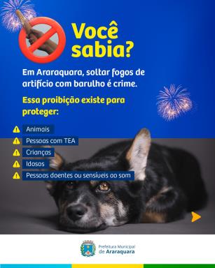 WhatsApp Image 2025-12-23 at 11.20.21