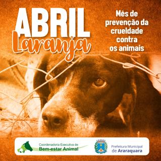 abril_laranja_animais