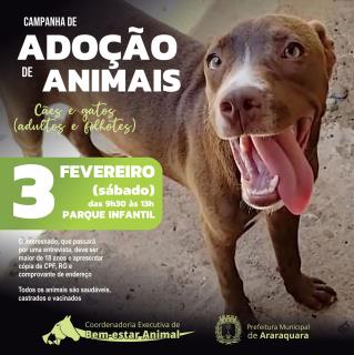 Campanha Adoção Animais 2023 - 3 de fevereiro