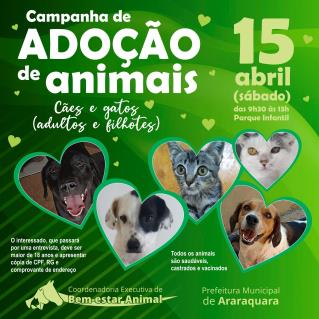 Campanha Adoção Animais_Adultos_15abril B