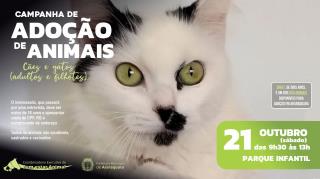 Campanha Adoção Animais 2023_21outubro - Horizontal