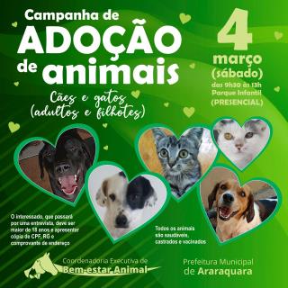 Campanha Adoção Animais_Adultos2 - Copia (2)