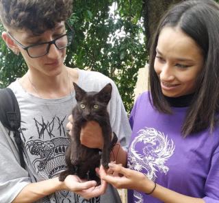 Parque Infantil recebe Campanha de Adoção de Animais no sábado - Foto Vitor Falavinha