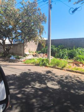 WhatsApp Image 2026-01-13 at 11.59.37