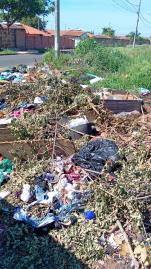 WhatsApp Image 2026-01-13 at 11.59.35