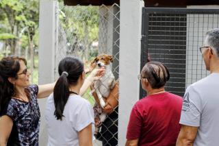 Neste sábado (18) tem campanha de adoção de animais no Parque Infantil - Foto Vitor Falavinha