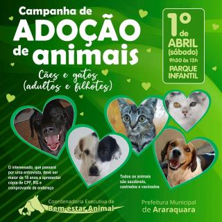 Parque Infantil recebe Campanha de Adoção de Animais neste sábado