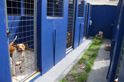 WhatsApp Image 2026-01-08 at 09.32.08 (1)