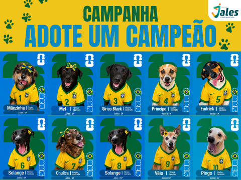 ADOTE UM CAMPEÃO