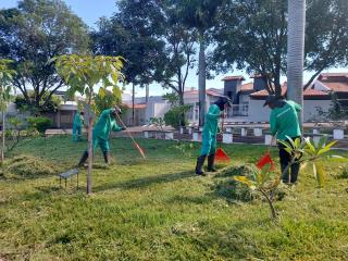 Projeto Praça Mais Limpa começou a ser realizado em Jales
