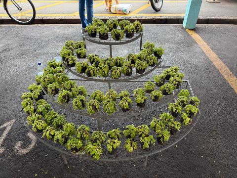 Entrega das Cestas de Natal 12