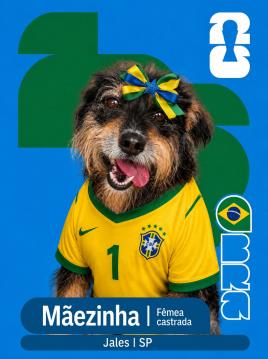 Adote um Capeão 01