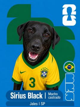 Adote um Capeão 03