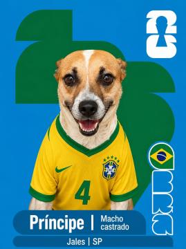 Adote um Capeão 04