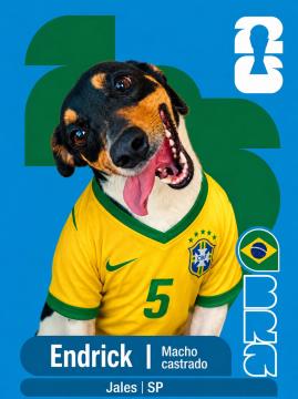 Adote um Capeão 05