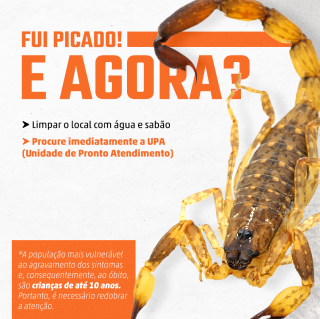 Prevenção escorpião 03