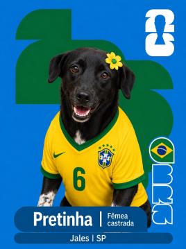 Adote um Capeão 06